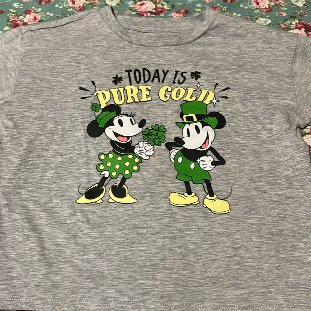 Minnie Mouse _ long sleeve shirt, new, never worn. Grey graphic tee. Kids large.
